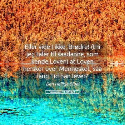 Picture 05 - Romerne 7:1 DA1871 - Eller vide I ikke, Brødre! (thi jeg taler til - Bible Verse Picture