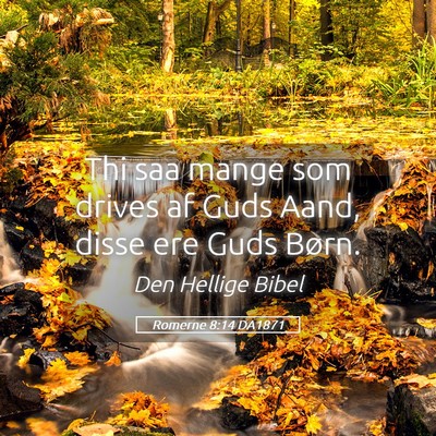 Picture 05 - Romerne 8:14 DA1871 - Thi saa mange som drives af Guds Aand, disse ere - Bible Verse Picture