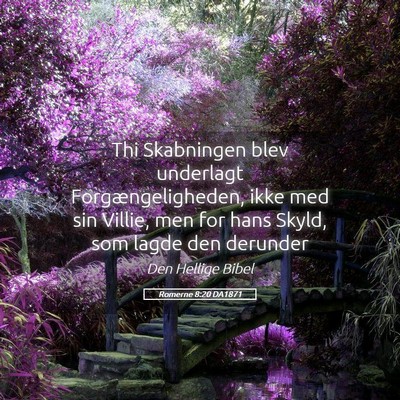 Picture 05 - Romerne 8:20 DA1871 - Thi Skabningen blev underlagt Forgængeligheden, - Bible Verse Picture