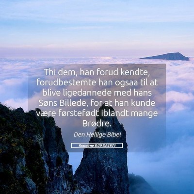 Picture 05 - Romerne 8:29 DA1871 - Thi dem, han forud kendte, forudbestemte han - Bible Verse Picture