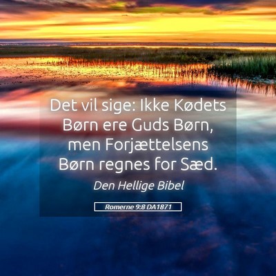 Picture 05 - Romerne 9:8 DA1871 - Det vil sige: Ikke Kødets Børn ere Guds Børn, - Bible Verse Picture