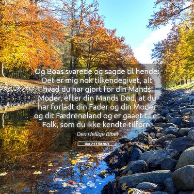 Picture 05 - Rut 2:11 DA1871 - Og Boas svarede og sagde til hende: Det er mig - Bible Verse Picture