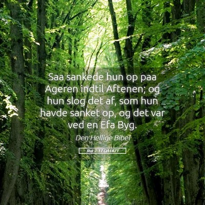 Picture 05 - Rut 2:17 DA1871 - Saa sankede hun op paa Ageren indtil Aftenen; og - Bible Verse Picture