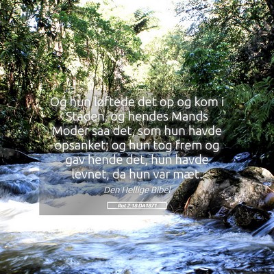 Picture 05 - Rut 2:18 DA1871 - Og hun løftede det op og kom i Staden, og hendes - Bible Verse Picture