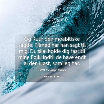 Picture 05 - Rut 2:21 DA1871 - Og Ruth den moabitiske sagde: Tilmed har han sagt - Bible Verse Picture