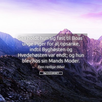 Picture 05 - Rut 2:23 DA1871 - Saa holdt hun sig fast til Boas' unge Piger for - Bible Verse Picture