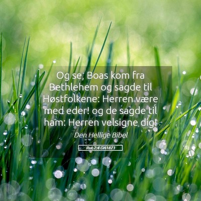 Picture 05 - Rut 2:4 DA1871 - Og se, Boas kom fra Bethlehem og sagde til - Bible Verse Picture
