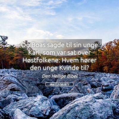 Picture 05 - Rut 2:5 DA1871 - Og Boas sagde til sin unge Karl, som var sat over - Bible Verse Picture