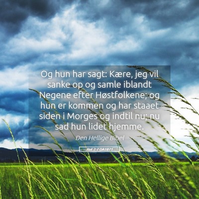 Picture 05 - Rut 2:7 DA1871 - Og hun har sagt: Kære, jeg vil sanke op og samle - Bible Verse Picture
