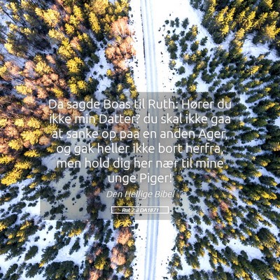 Picture 05 - Rut 2:8 DA1871 - Da sagde Boas til Ruth: Hører du ikke min - Bible Verse Picture