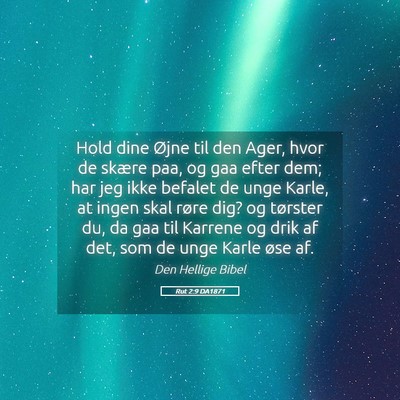 Picture 05 - Rut 2:9 DA1871 - Hold dine Øjne til den Ager, hvor de skære paa, - Bible Verse Picture