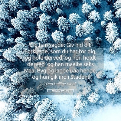 Picture 05 - Rut 3:15 DA1871 - Og han sagde: Giv hid dit Forklæde, som du har - Bible Verse Picture