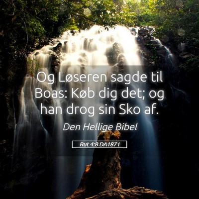Picture 05 - Rut 4:8 DA1871 - Og Løseren sagde til Boas: Køb dig det; og han - Bible Verse Picture