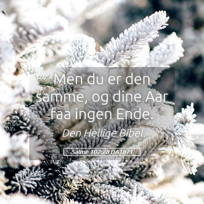 Picture 05 - Salme 102:28 DA1871 - Men du er den samme, og dine Aar faa ingen - Bible Verse Picture