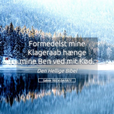 Picture 05 - Salme 102:6 DA1871 - Formedelst mine Klageraab hænge mine Ben ved mit - Bible Verse Picture