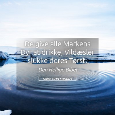 Picture 05 - Salme 104:11 DA1871 - De give alle Markens Dyr at drikke, Vildæsler - Bible Verse Picture
