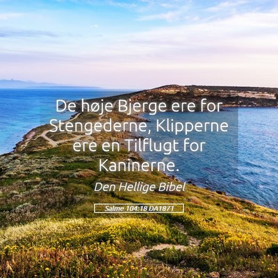 Picture 05 - Salme 104:18 DA1871 - De høje Bjerge ere for Stengederne, Klipperne - Bible Verse Picture