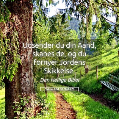 Picture 05 - Salme 104:30 DA1871 - Udsender du din Aand, skabes de, og du fornyer - Bible Verse Picture