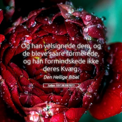 Picture 05 - Salme 107:38 DA1871 - Og han velsignede dem, og de bleve saare - Bible Verse Picture