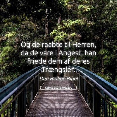 Picture 05 - Salme 107:6 DA1871 - Og de raabte til Herren, da de vare i Angest, han - Bible Verse Picture