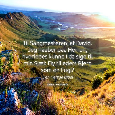 Picture 05 - Salme 11:1 DA1871 - Til Sangmesteren; af David. Jeg haaber paa - Bible Verse Picture