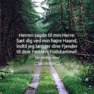 Picture 05 - Salme 110:1 DA1871 - Herren sagde til min Herre: Sæt dig ved min - Bible Verse Picture