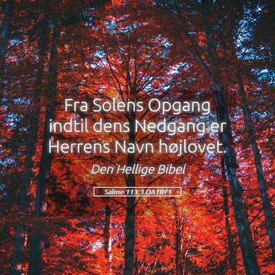 Picture 05 - Salme 113:3 DA1871 - Fra Solens Opgang indtil dens Nedgang er Herrens - Bible Verse Picture