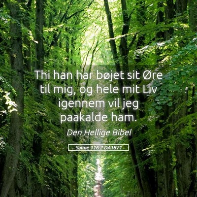 Picture 05 - Salme 116:2 DA1871 - Thi han har bøjet sit Øre til mig, og hele mit - Bible Verse Picture