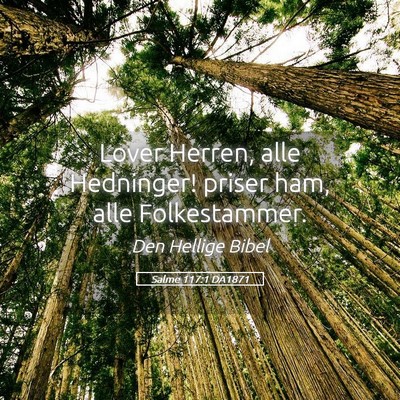 Picture 05 - Salme 117:1 DA1871 - Lover Herren, alle Hedninger! priser ham, alle - Bible Verse Picture