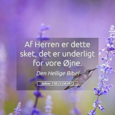 Picture 05 - Salme 118:23 DA1871 - Af Herren er dette sket, det er underligt for - Bible Verse Picture