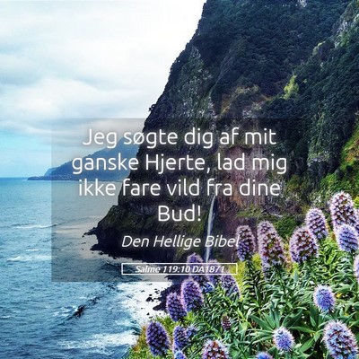 Picture 05 - Salme 119:10 DA1871 - Jeg søgte dig af mit ganske Hjerte, lad mig ikke - Bible Verse Picture