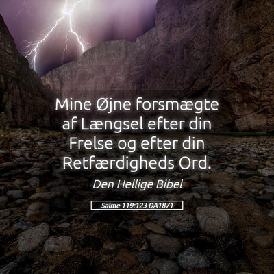 Picture 05 - Salme 119:123 DA1871 - Mine Øjne forsmægte af Længsel efter din - Bible Verse Picture