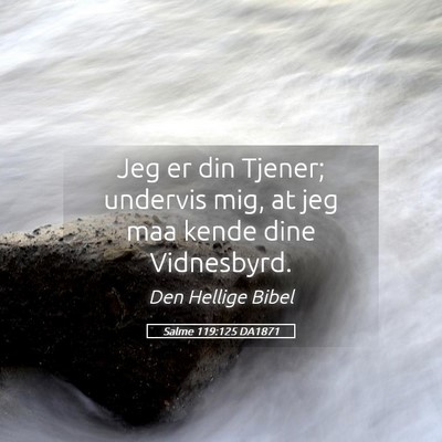 Picture 05 - Salme 119:125 DA1871 - Jeg er din Tjener; undervis mig, at jeg maa kende - Bible Verse Picture