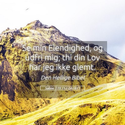 Picture 05 - Salme 119:153 DA1871 - Se min Elendighed, og udfri mig; thi din Lov har - Bible Verse Picture