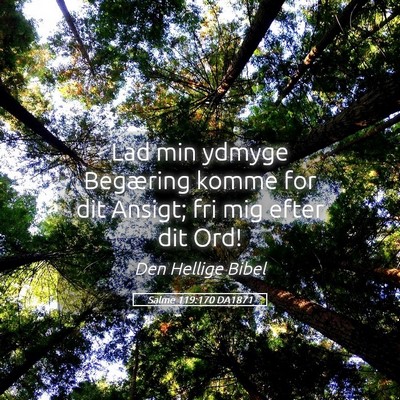 Picture 05 - Salme 119:170 DA1871 - Lad min ydmyge Begæring komme for dit Ansigt; - Bible Verse Picture