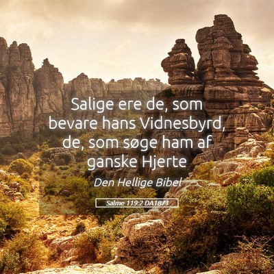 Picture 05 - Salme 119:2 DA1871 - Salige ere de, som bevare hans Vidnesbyrd, de, - Bible Verse Picture