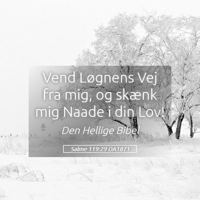 Picture 05 - Salme 119:29 DA1871 - Vend Løgnens Vej fra mig, og skænk mig Naade i - Bible Verse Picture