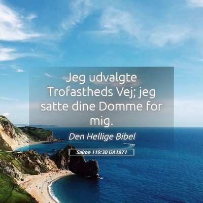 Picture 05 - Salme 119:30 DA1871 - Jeg udvalgte Trofastheds Vej; jeg satte dine - Bible Verse Picture