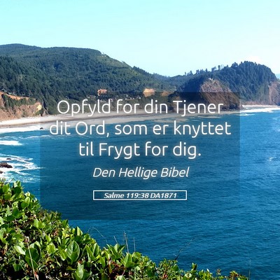 Picture 05 - Salme 119:38 DA1871 - Opfyld for din Tjener dit Ord, som er knyttet til - Bible Verse Picture