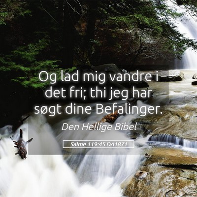 Picture 05 - Salme 119:45 DA1871 - Og lad mig vandre i det fri; thi jeg har søgt - Bible Verse Picture