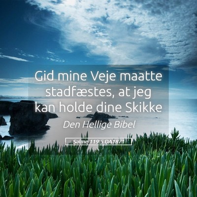 Picture 05 - Salme 119:5 DA1871 - Gid mine Veje maatte stadfæstes, at jeg kan - Bible Verse Picture