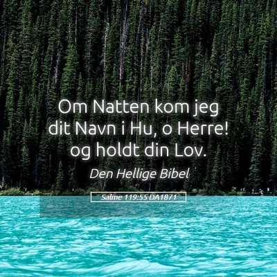 Picture 05 - Salme 119:55 DA1871 - Om Natten kom jeg dit Navn i Hu, o Herre! og - Bible Verse Picture