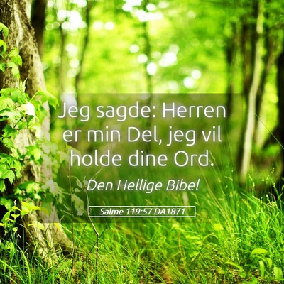 Picture 05 - Salme 119:57 DA1871 - Jeg sagde: Herren er min Del, jeg vil holde dine - Bible Verse Picture