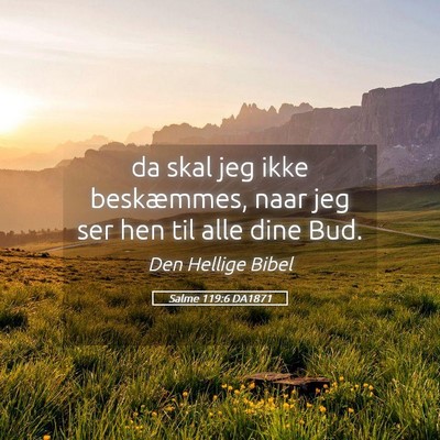 Picture 05 - Salme 119:6 DA1871 - da skal jeg ikke beskæmmes, naar jeg ser hen til - Bible Verse Picture