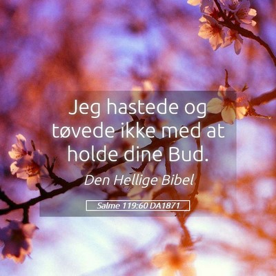 Picture 05 - Salme 119:60 DA1871 - Jeg hastede og tøvede ikke med at holde dine - Bible Verse Picture