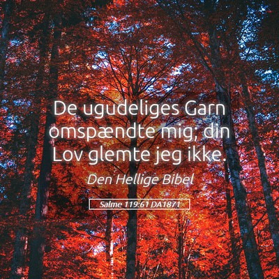 Picture 05 - Salme 119:61 DA1871 - De ugudeliges Garn omspændte mig; din Lov glemte - Bible Verse Picture