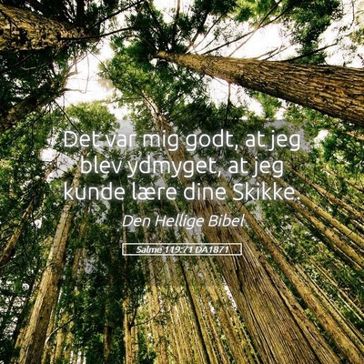 Picture 05 - Salme 119:71 DA1871 - Det var mig godt, at jeg blev ydmyget, at jeg - Bible Verse Picture