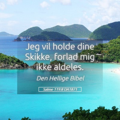 Picture 05 - Salme 119:8 DA1871 - Jeg vil holde dine Skikke, forlad mig ikke - Bible Verse Picture