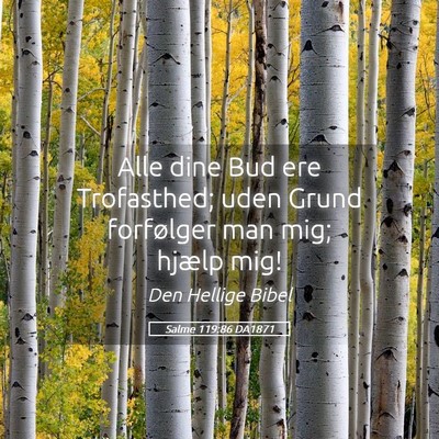 Picture 05 - Salme 119:86 DA1871 - Alle dine Bud ere Trofasthed; uden Grund - Bible Verse Picture