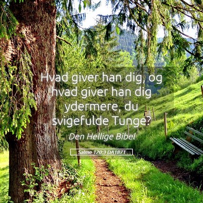 Picture 05 - Salme 120:3 DA1871 - Hvad giver han dig, og hvad giver han dig - Bible Verse Picture